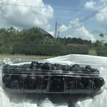 Isono Blueberry En - 初ブルーベリー狩り！500gのブルーベリーをパック詰めしたものを横から見ると、こんな感じ