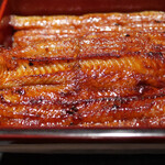 Unagi Tokito - 鰻重