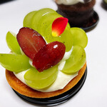 Patisserie plantes - 