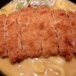 Curry Udon Senkichi Uinku Aichi Ten - 