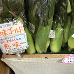 道の駅 とうや湖 - 