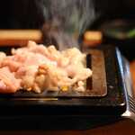 Nagoya Meibutsu Miso Tonchan Ya Gokiso Horumon - 