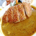 Jungle Soup Curry - 