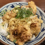 Marugame Seimen Toyohashi Fujisawa Ten - 