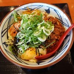 Marugame Seimen Tenri Ten - ネギ多めトッピング