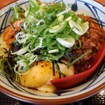 Marugame Seimen Tenri Ten - もっとネギを入れてもよかった