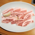 Yakiniku no Kanemaru Nishiyaidzu Ten - 金豚王 豚カルビ塩味