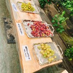 Shirone Grape Garden - 