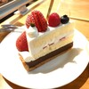 Tree Cafe - タルトショートケーキ570円✨いちごのショート＆チョコタルトがドッキングした有りそうでなかった組み合わせ♬