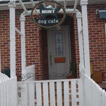 dog cafe MINT - 