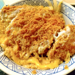 どんどん庵 - かつ丼（550円）