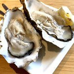 BAY OYSTER - 