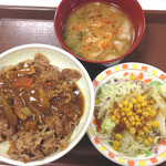 Sukiya Moriya Ten - カレー南蛮牛丼豚汁サラダセット