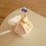 GELATERIA solege - 