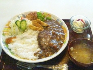 Yamagoya - ディッシュハンバーグ　カレー新メニューです