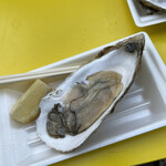 BAY OYSTER - 