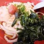 地粉屋 福ろう製麺 - 梅おろしわかめ　３９０円のアップ　【　２０１３年５月　】