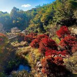 Tsuchimaya - 島田公園