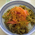 Yoshinoya Neyagawashi Ekimae Ten - 