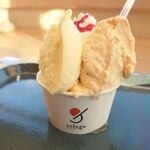 GELATERIA solege - 