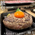 Taishu Horumon Yakiniku Kemuriki Gifu Ekimae Ten - 