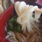 Azumi Udon Takata Ten - 少しコシもあり滑らかな麺