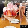 CAFE FLIGHT LOUNGE - 