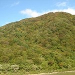 戸沢藩船番所 - 船着き場の対岸の山。あと一週間ほどで見頃とか。