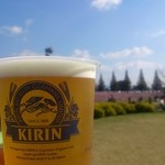 Kirin Beer Park Fukuoka - コスモス見ながら(^^)／＼(^^)