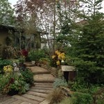 Sophys Garden - 