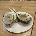 BAY OYSTER - 