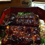 Gifu Unagi Ichiban - 