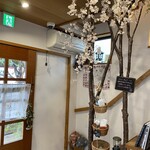 Sakura Kitchen Cafe - 