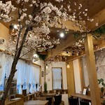 Sakura Kitchen Cafe - 