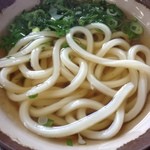 うどんだい好き - かけうどん  小