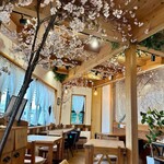 Sakura Kitchen Cafe - 