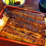 Unagi Nakaya - 