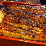 Unagi Nakaya - 