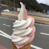 道の駅 みはら神明の里 ファーストフード - 料理写真: