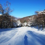 シャトレーゼスキーリゾート八ヶ岳 - ゲレンデ（２０１３年）－早い時間帯帯は空いています。