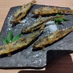 Robata Ochi - 