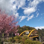 Suzuiro Kamaboko Enora Ten - この時期、おかめ桜