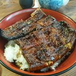 Gifu Unagi Ichiban - 特上丼