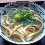 Marugame Seimen Ionmoru Ishinomaki Ten - かけうどん280円