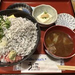 Uo Fuji - 釜揚げしらすネギトロ丼大盛＋１００円