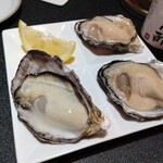 Young Oyster - 