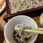 Soba Dokoro Jingoro - 蕎麦を啜る