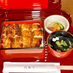 Unagi Kitashirakawa - 