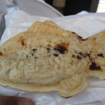 Taiyaki Matsukawa - 