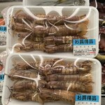 和田商店 - 2パック購入